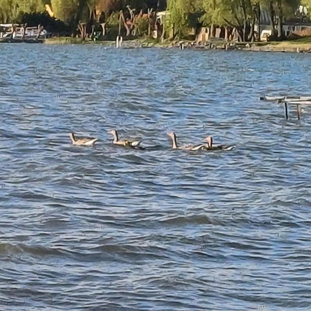 Gosciniec Twoje Mazury Nad Jeziorem Sniardwy Tuz Obok Plazy Nowe Guty Bagian luar foto
