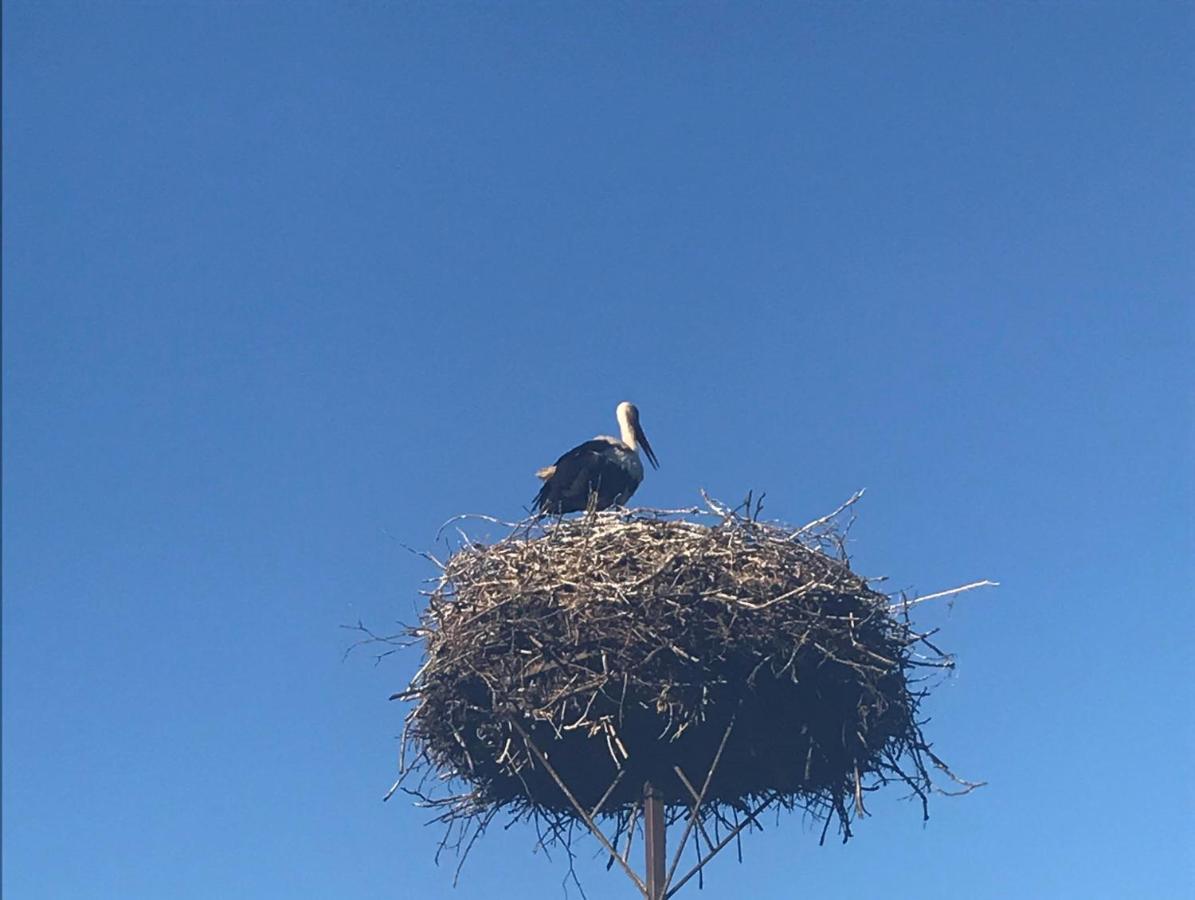 Gosciniec Twoje Mazury Nad Jeziorem Sniardwy Tuz Obok Plazy Nowe Guty Bagian luar foto