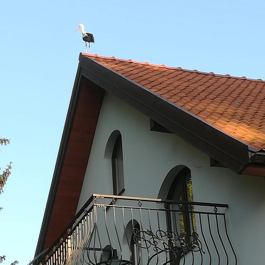 Gosciniec Twoje Mazury Nad Jeziorem Sniardwy Tuz Obok Plazy Nowe Guty Bagian luar foto